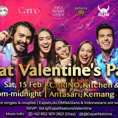 ExpatNations Valentine's Party