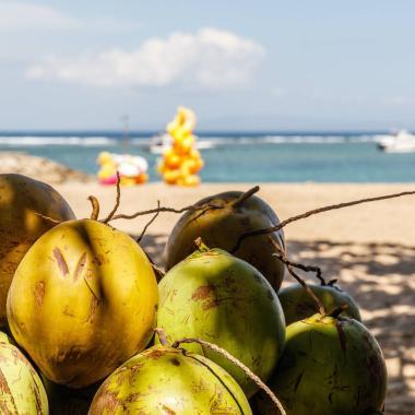 Fruit of Life: The Significance of Coconut in Bali