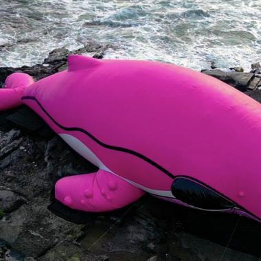 Arkiv Reveals 30 Meter Pink Whale Stranded at Tanah Lot