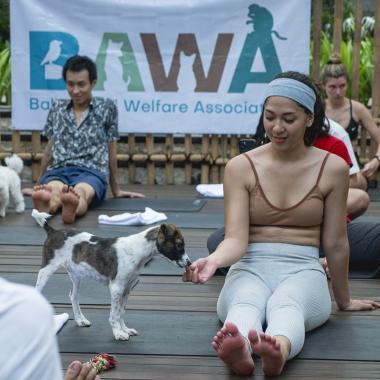 Experience Moodbooster Puppy Yoga at Hotel Indigo Bali Seminyak Beach