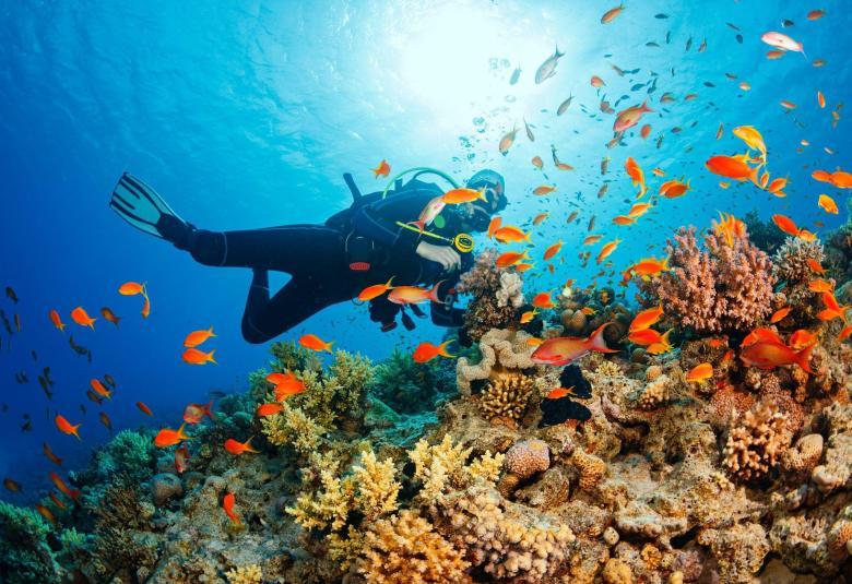 Exploring Bali's Best Scuba Diving Spots