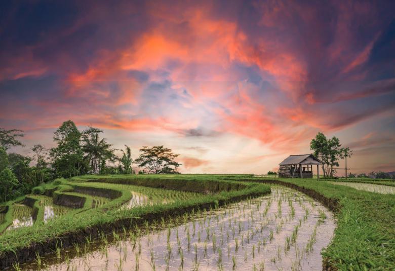 The Best Sunset Spot in Ubud: Exploring Bali's Enchanting Twilight