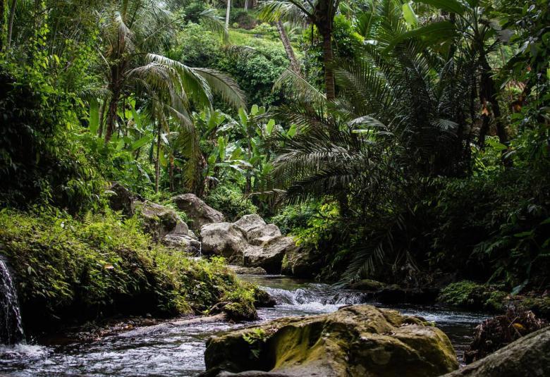 Exploring the Veritable Essence of 'Tukad' The Significance of Rivers in Balinese Culture