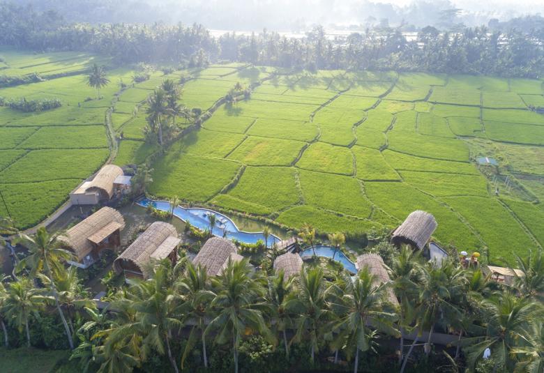 Nyepi Serenity Package at Beehouse Dijiwa Ubud