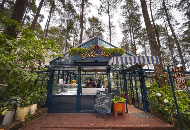 Golden Pine at Orchid Forest Cikole