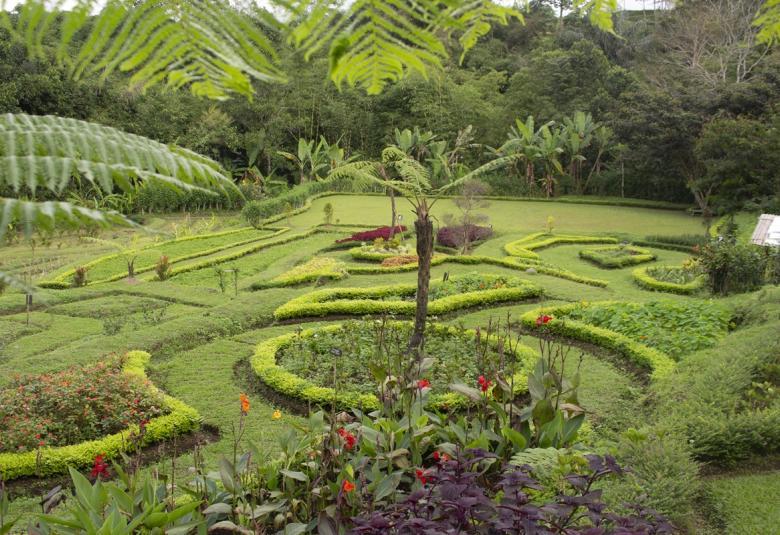 Exploring the Natural Herbs, Flowers, and Vegetables Garden at Homm Saranam Baturiti