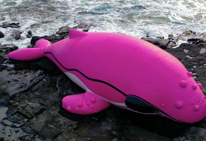 Arkiv Reveals 30 Meter Pink Whale Stranded at Tanah Lot