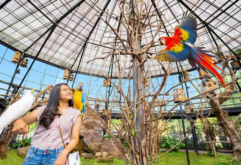 Top Theme Parks & Outdoor Activities in Bandung