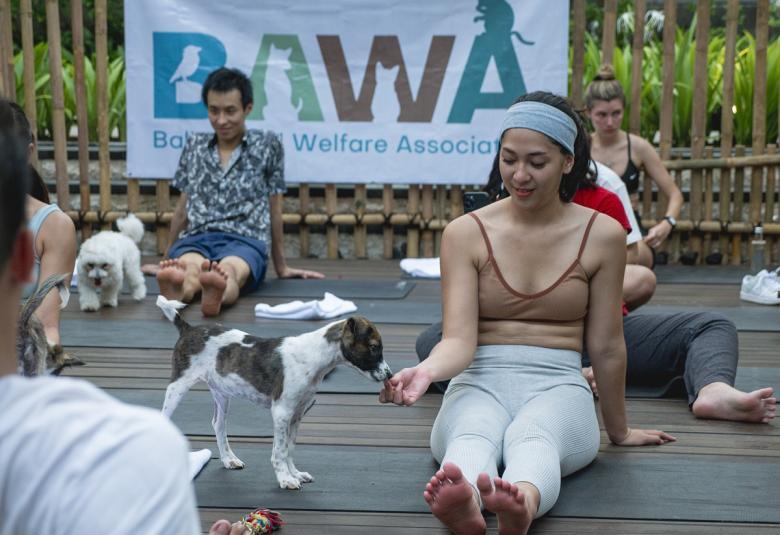 Experience Moodbooster Puppy Yoga at Hotel Indigo Bali Seminyak Beach