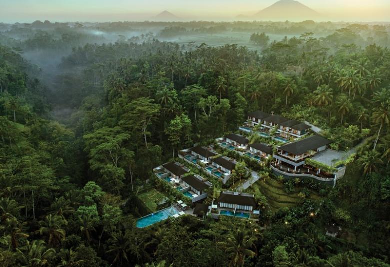 Scenic Sanctuary for the Senses: A Blissful Sojourn at Samsara Ubud