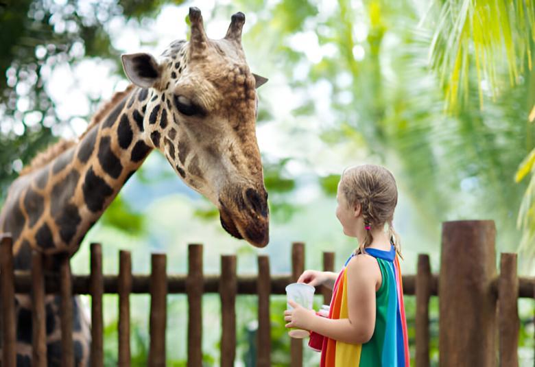 Top Nature Activities for Toddlers in Bali: A Guide to Outdoor Fun