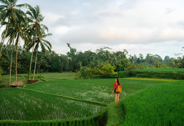 9 Reasons Why You Must Try Exploring Ubud on Foot