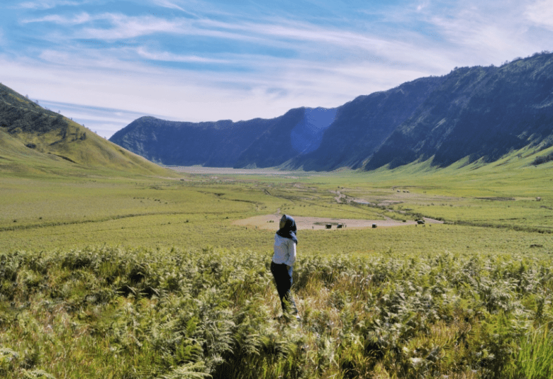 Bromo To Do: Teletubbies Hill Savannah