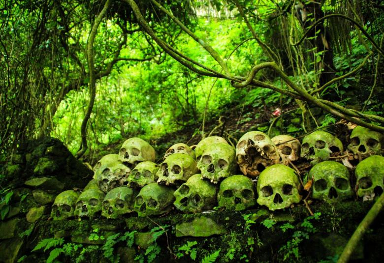 Where the Dead Laid to Rest: Unveiling the Mystical History of Trunyan Village