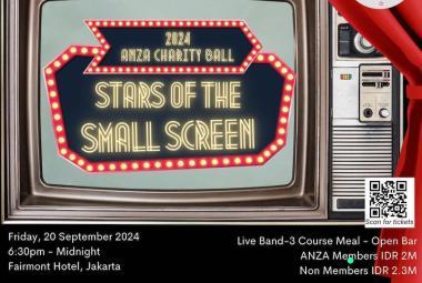 2024 ANZA Charity Ball: Stars of the Small Screen