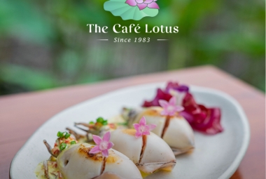 Elevate_Your_Festive_Season_at_The_Cafe_Lotus