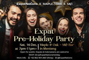 ExpatNations_Pre_Holiday_Party