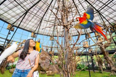 Top Theme Parks & Outdoor Activities in Bandung