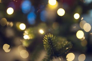 Newsletter: Let the Festive Season Begin with Festive Deals